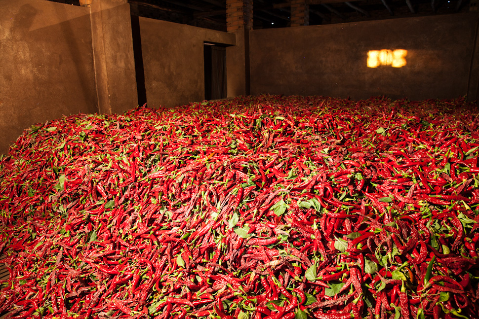 Pimientos de La Vera