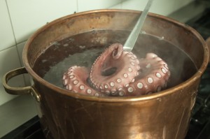 cooking octopus