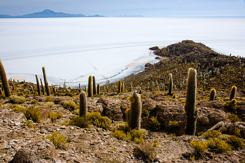 salt pans, Bolivia