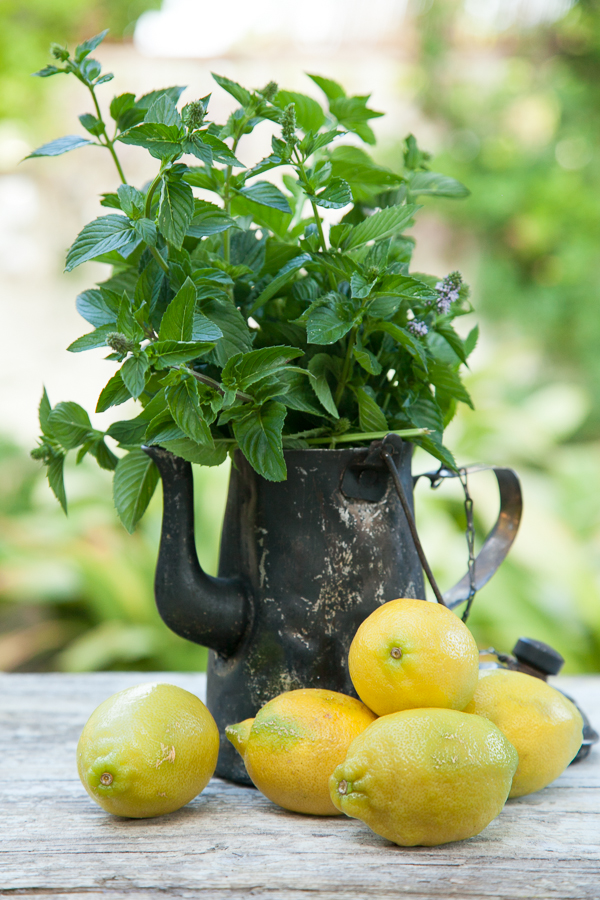 fresh mint and lemons