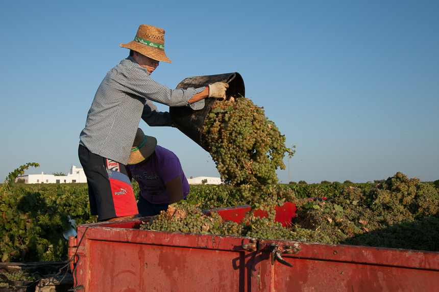 harvesting