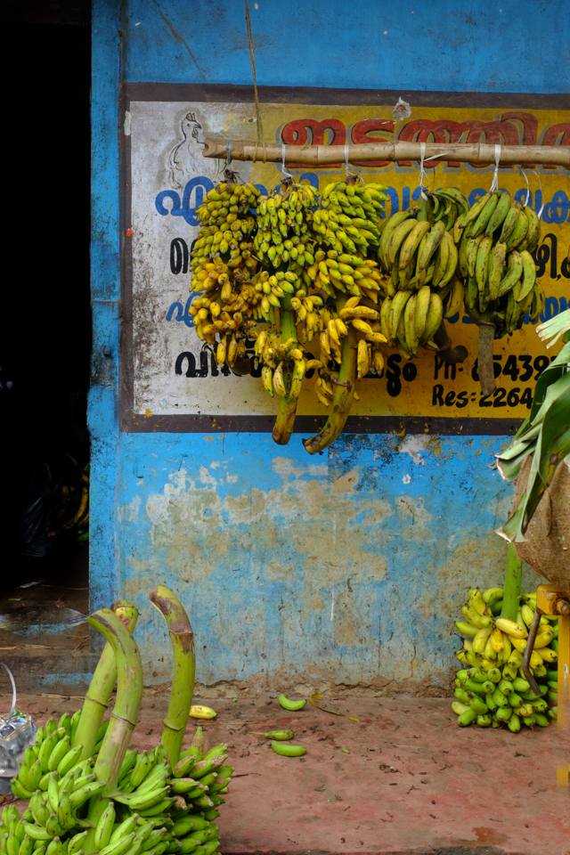 Plantain