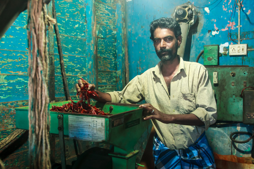 grinding red chillies in India