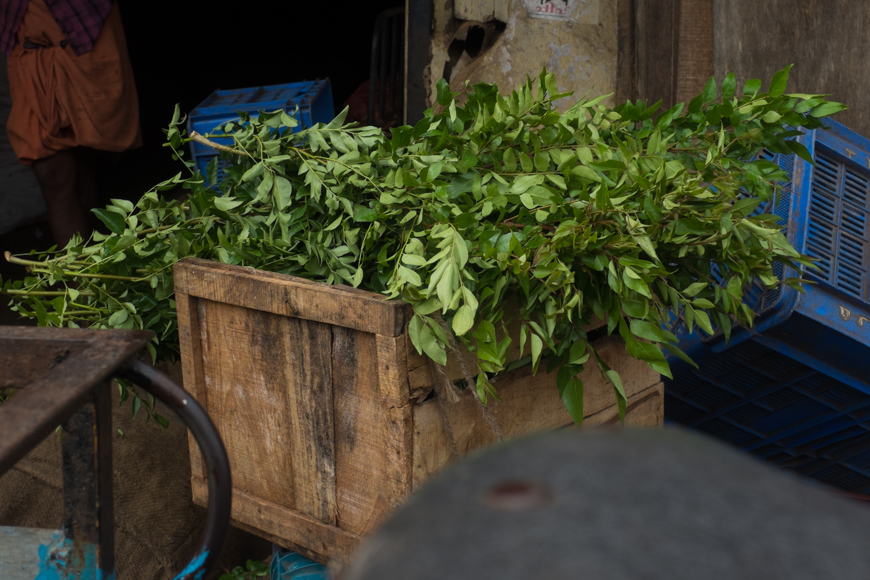 Fresh curry leaves, Kerala , India