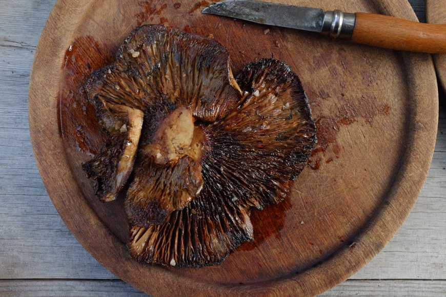 Lactarius Deliciosas - with olive oil and coarse salt