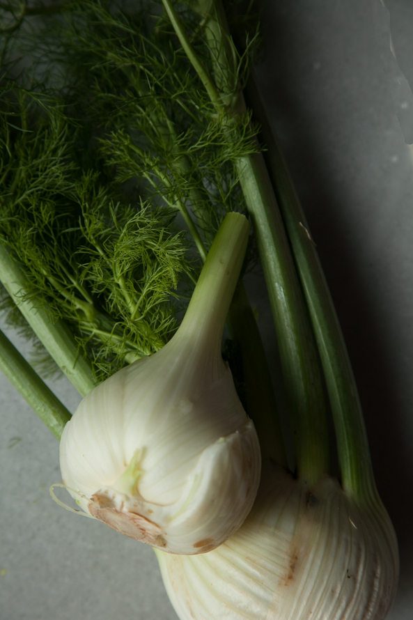 fennel