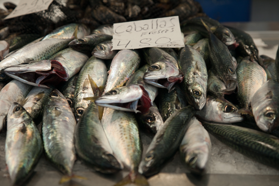 Mackerel , Cadiz Market