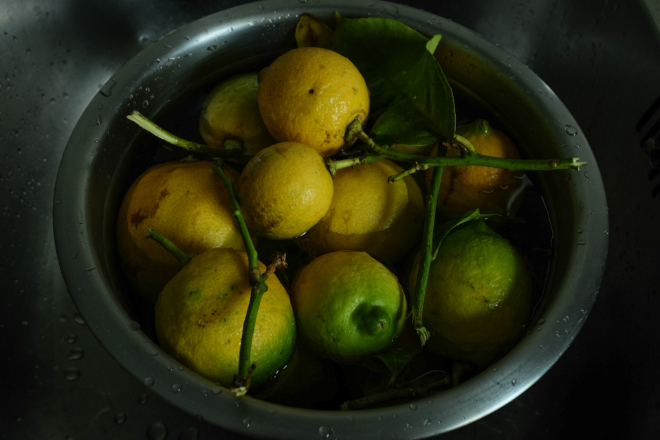 freshly picked lemons