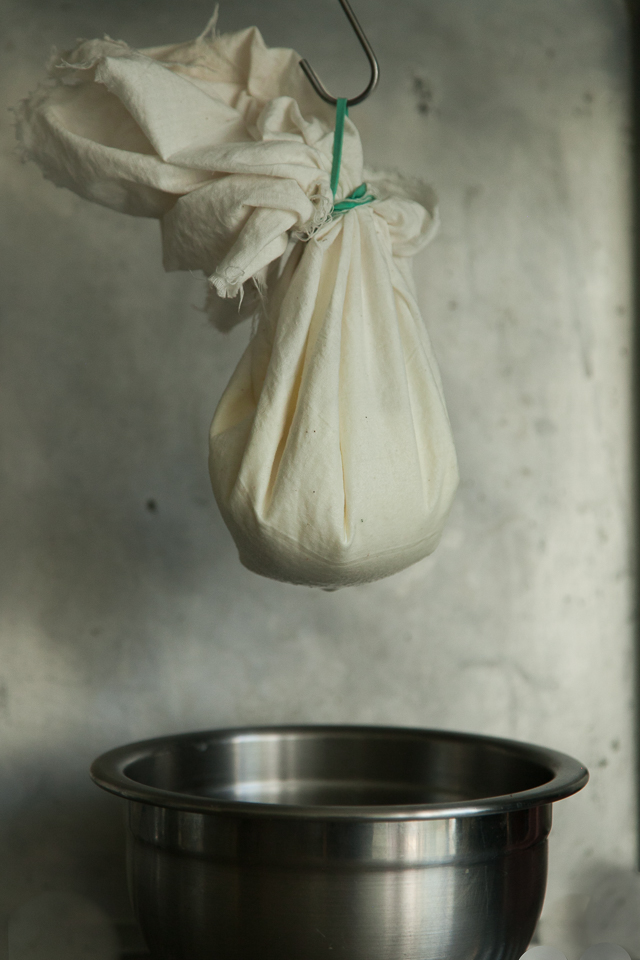 strained yoghurt - labneh