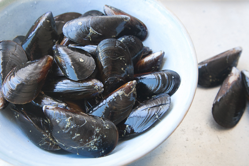 mussels