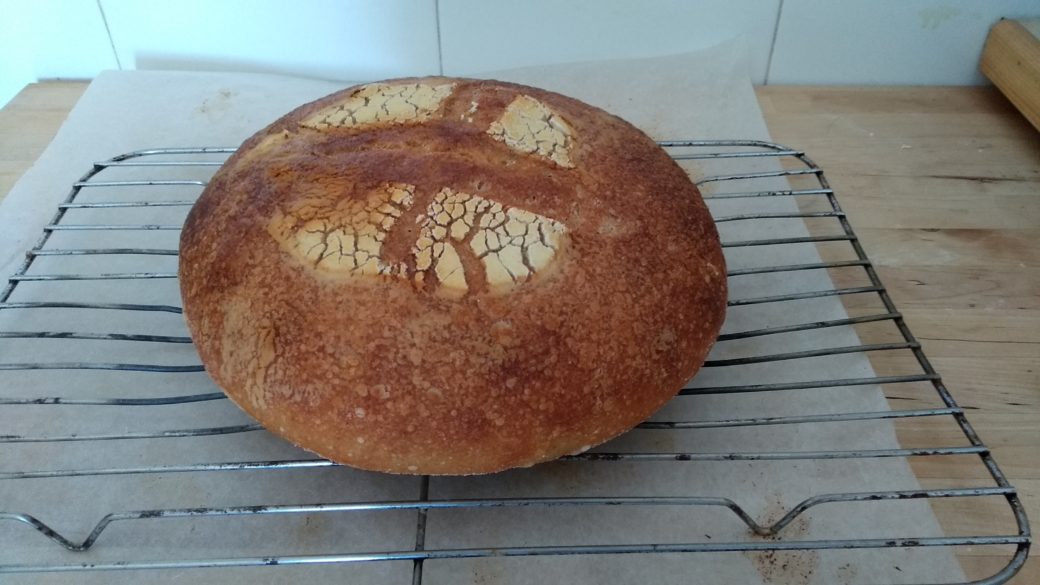 sourdough
