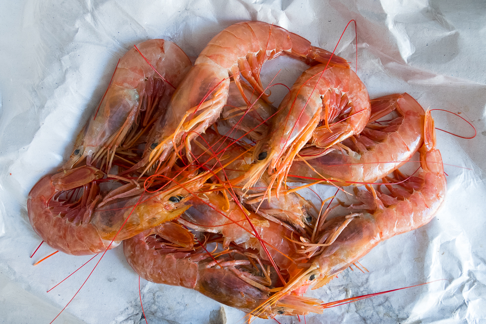 prawns