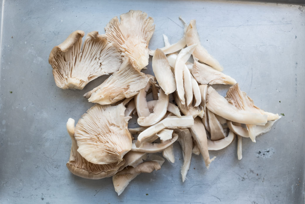 oyster mushrooms
