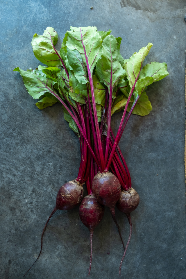 Beets
